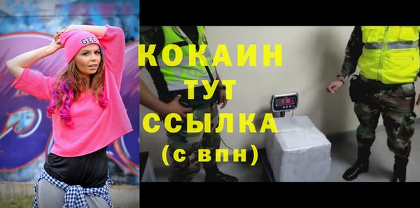 шишки Абдулино