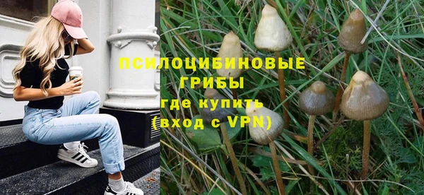 ешки Абинск