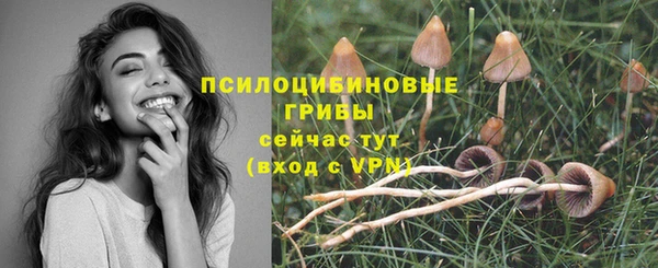 дживик Абаза