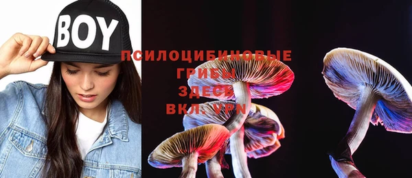 шишки Абдулино